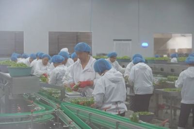 數字經濟浪潮下的食品互聯網銷售 中國人民大學應用經濟學院的學術洞察與實踐路徑